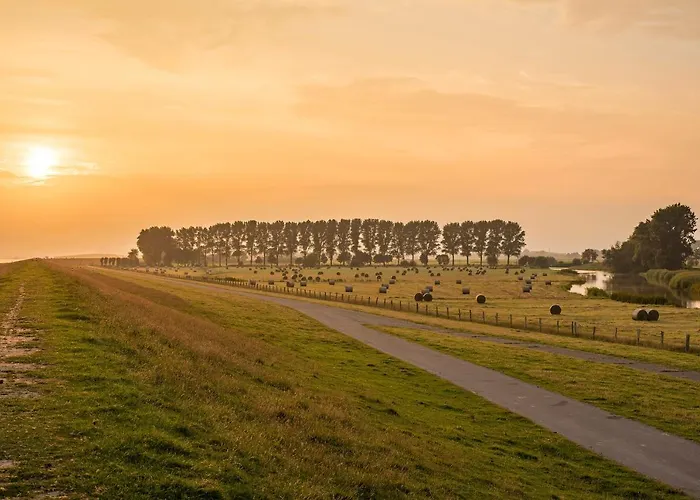 Elbquartier No3 Moebliertes Wohnen Auf Zeit In Appartement