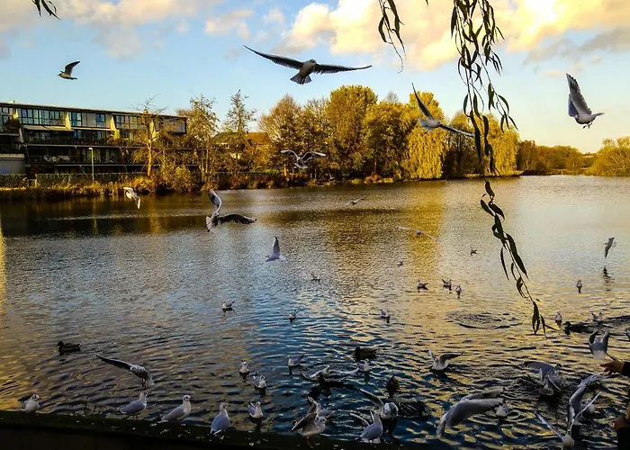 Elbquartier No3 Moebliertes Wohnen Auf Zeit In Appartement
